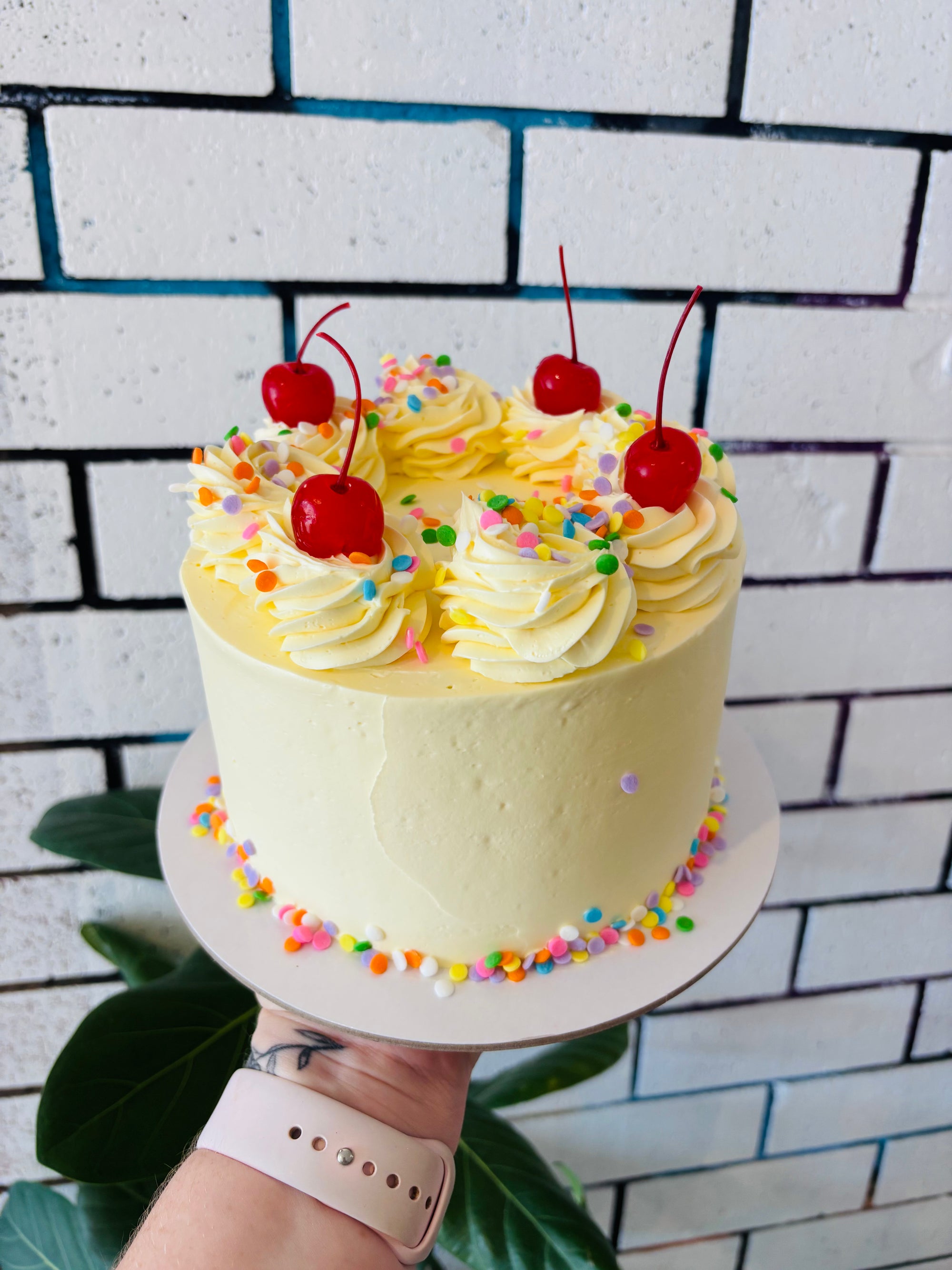 Signature Daily Cake Range