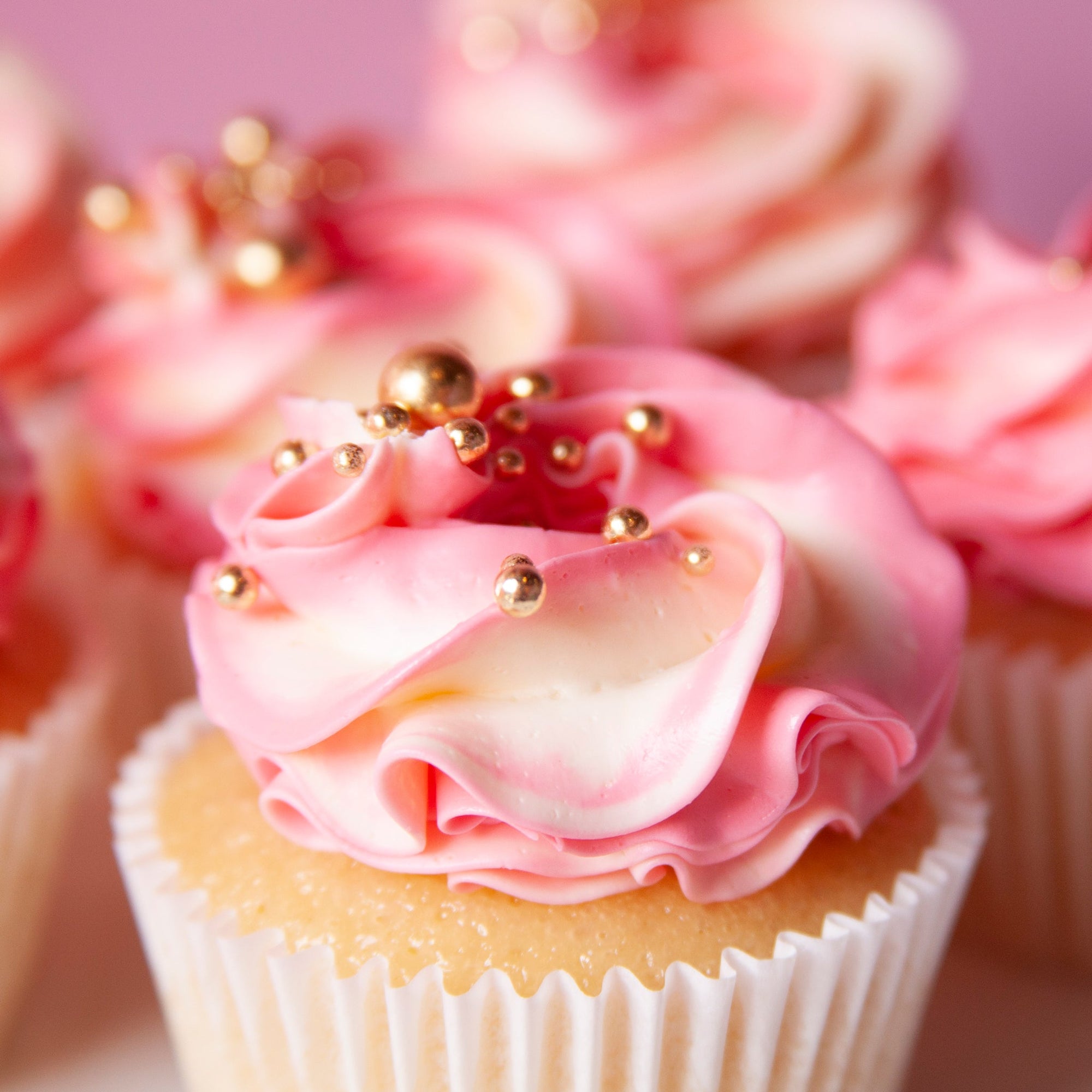 Create My Own Cupcake Box