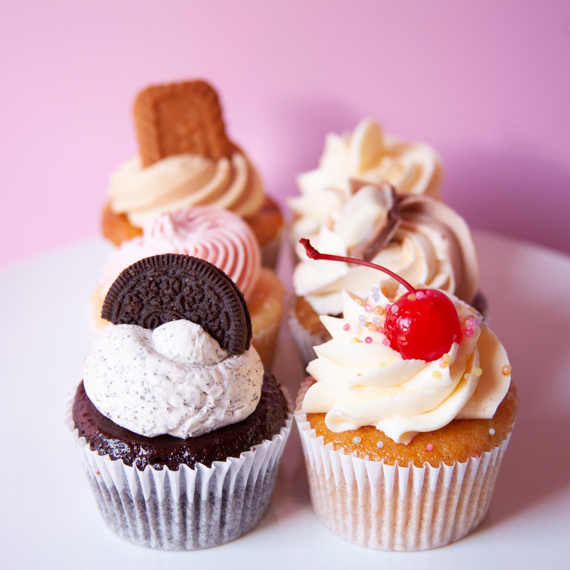 Create My Own Cupcake Box