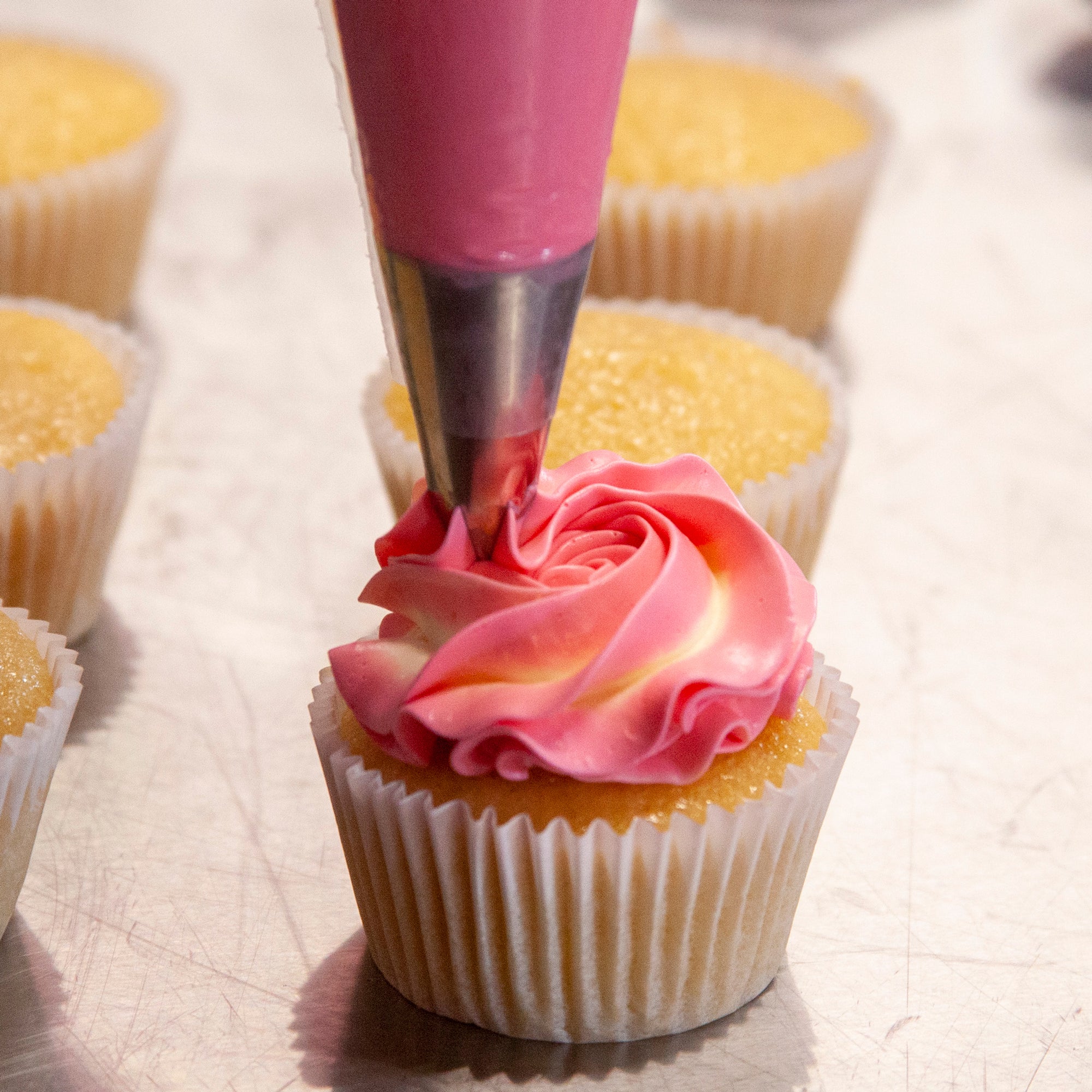 Create My Own Cupcake Box