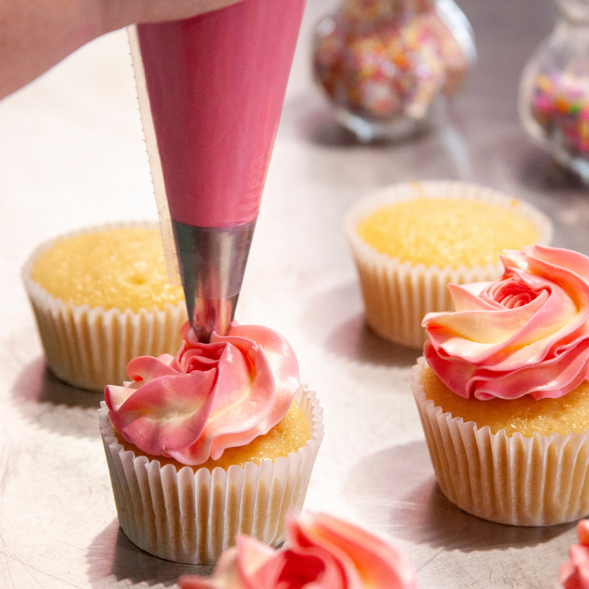 Create My Own Mini Cupcake Box