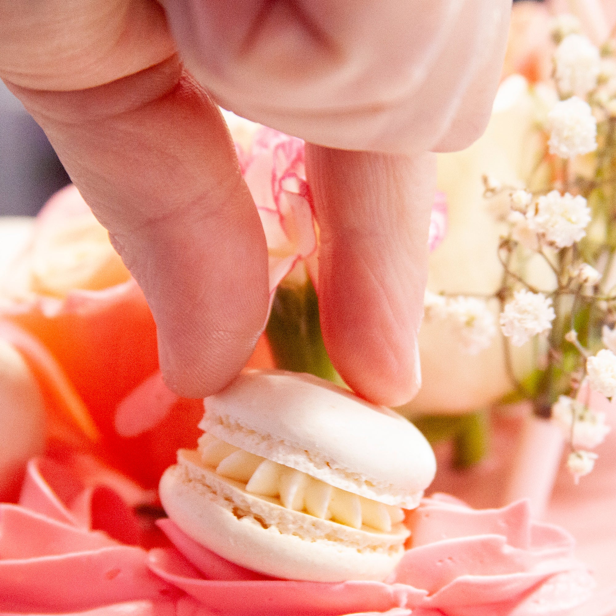 Create My Own Macarons