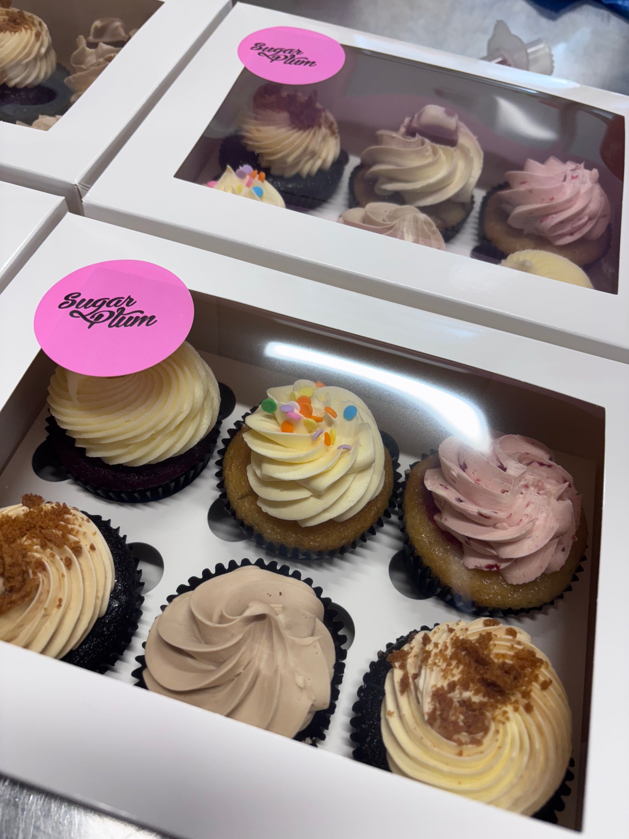 Mixed Cabinet Cupcake Box